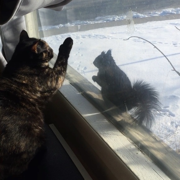 Meet your Posher - Picture 3 of 3